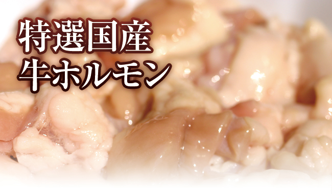 特選国産牛ホルモン